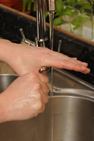 Food safety 3