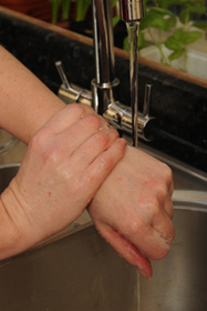 Food safety 4