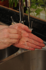 Food safety 5